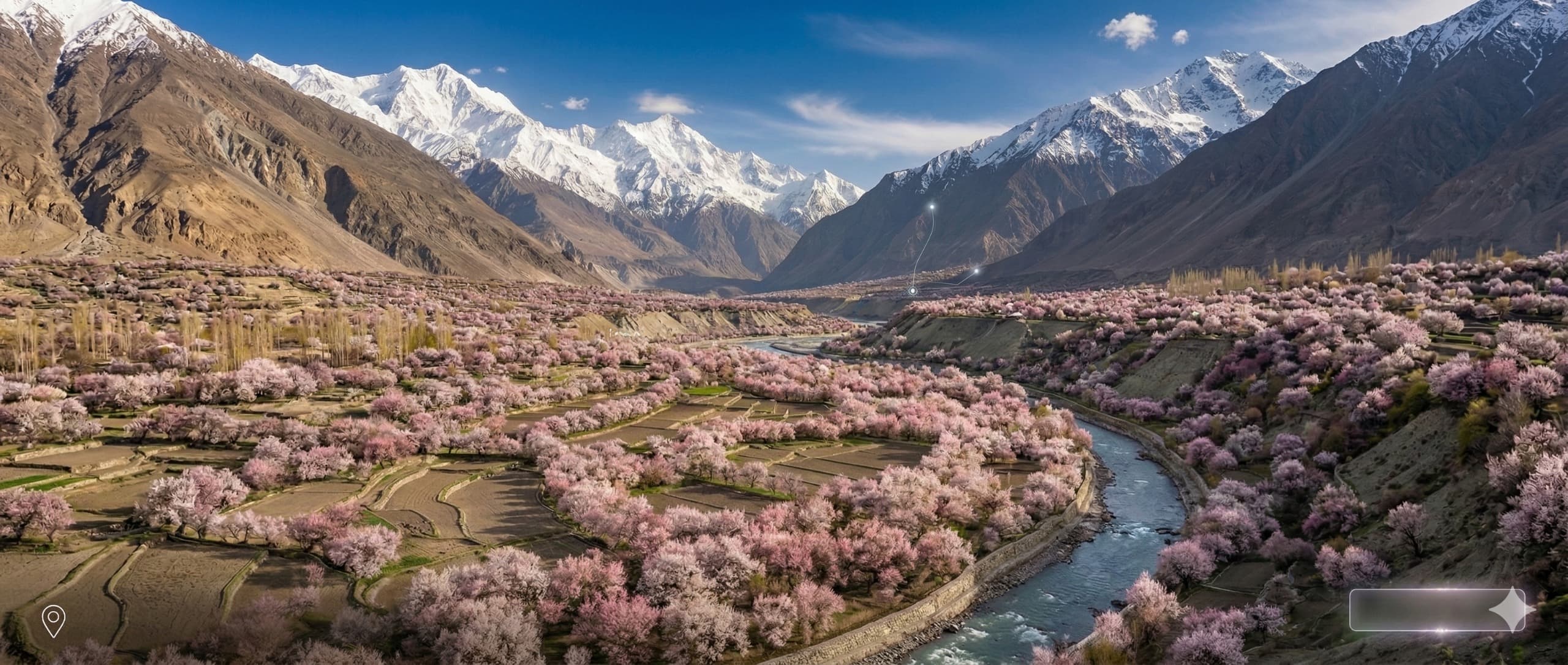 Cover image for Best of Ladhak - Apricot Blossom special